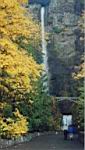 multnomah1.jpg
