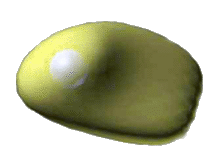cell.gif